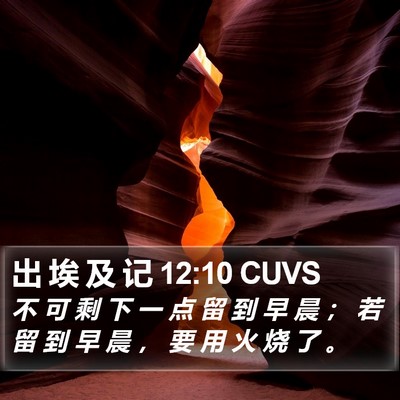 出 埃 及 记 12:10 CUVS Bible Verse Image