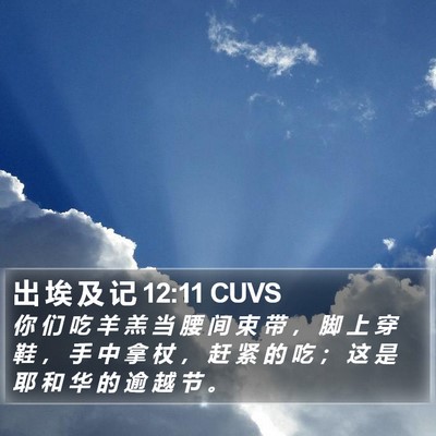 出 埃 及 记 12:11 CUVS Bible Verse Image