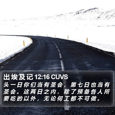 出 埃 及 记 12:16 CUVS Bible Verse Image