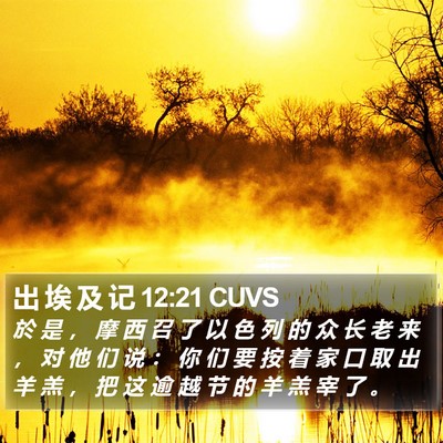 出 埃 及 记 12:21 CUVS Bible Verse Image