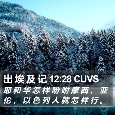 出 埃 及 记 12:28 CUVS Bible Verse Image