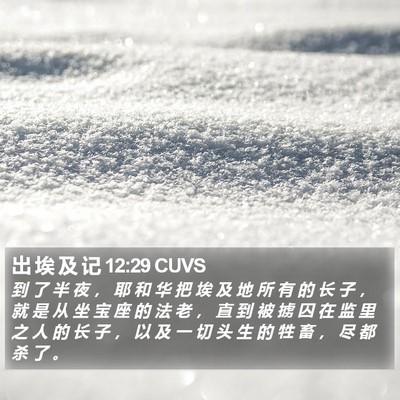 出 埃 及 记 12:29 CUVS Bible Verse Image