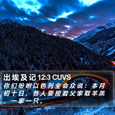 出 埃 及 记 12:3 CUVS Bible Verse Image