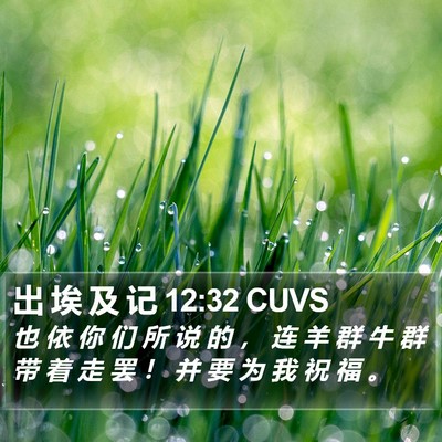出 埃 及 记 12:32 CUVS Bible Verse Image