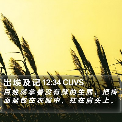 出 埃 及 记 12:34 CUVS Bible Verse Image