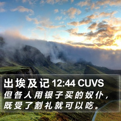 出 埃 及 记 12:44 CUVS Bible Verse Image