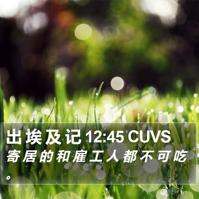 出 埃 及 记 12:45 CUVS Bible Verse Image