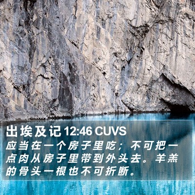 出 埃 及 记 12:46 CUVS Bible Verse Image