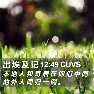 出 埃 及 记 12:49 CUVS Bible Verse Image