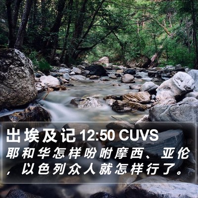 出 埃 及 记 12:50 CUVS Bible Verse Image