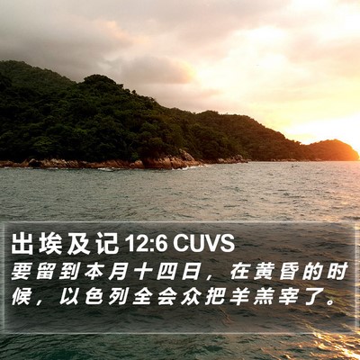 出 埃 及 记 12:6 CUVS Bible Verse Image