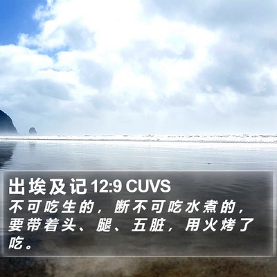 出 埃 及 记 12:9 CUVS Bible Verse Image
