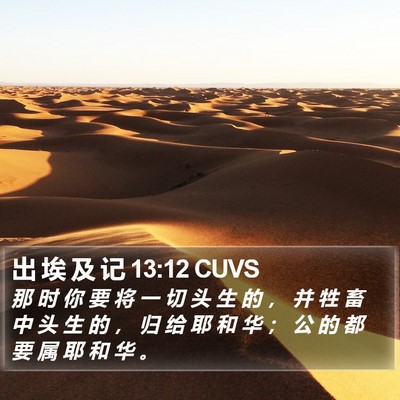 出 埃 及 记 13:12 CUVS Bible Verse Image