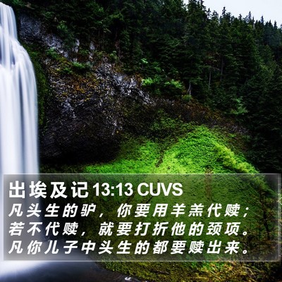 出 埃 及 记 13:13 CUVS Bible Verse Image