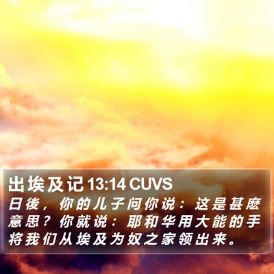 出 埃 及 记 13:14 CUVS Bible Verse Image
