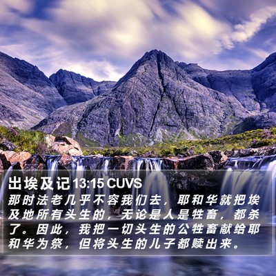 出 埃 及 记 13:15 CUVS Bible Verse Image