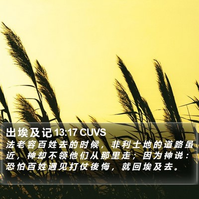 出 埃 及 记 13:17 CUVS Bible Verse Image