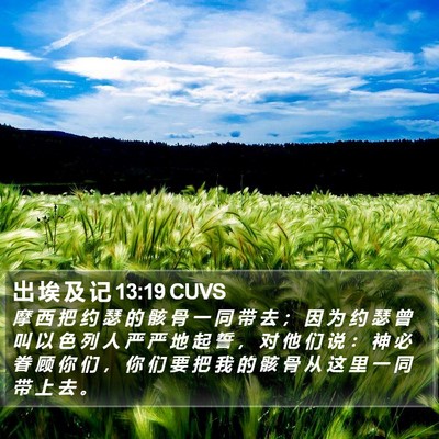 出 埃 及 记 13:19 CUVS Bible Verse Image