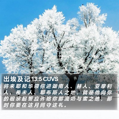 出 埃 及 记 13:5 CUVS Bible Verse Image