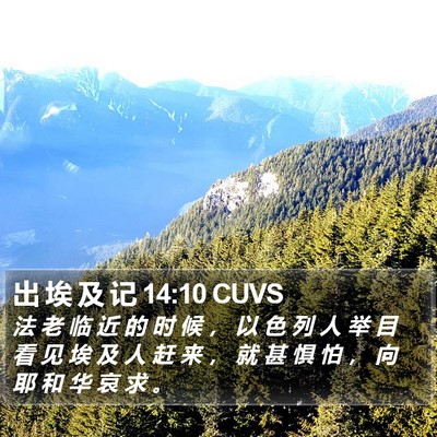 出 埃 及 记 14:10 CUVS Bible Verse Image