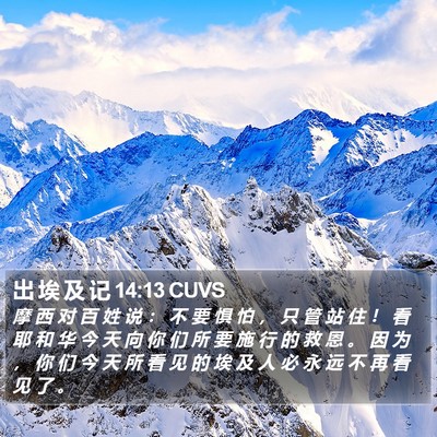 出 埃 及 记 14:13 CUVS Bible Verse Image