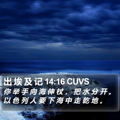出 埃 及 记 14:16 CUVS Bible Verse Image