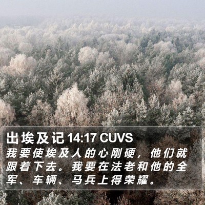 出 埃 及 记 14:17 CUVS Bible Verse Image