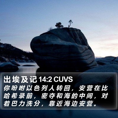 出 埃 及 记 14:2 CUVS Bible Verse Image