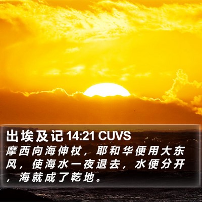出 埃 及 记 14:21 CUVS Bible Verse Image