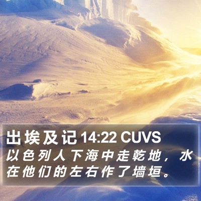 出 埃 及 记 14:22 CUVS Bible Verse Image