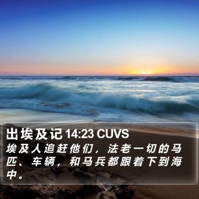出 埃 及 记 14:23 CUVS Bible Verse Image