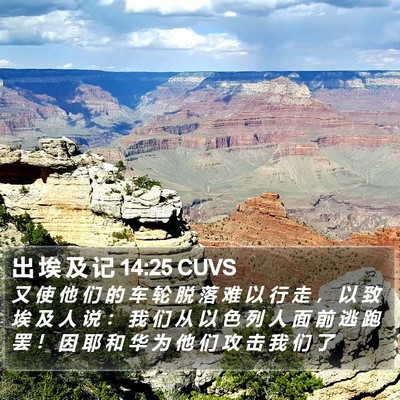 出 埃 及 记 14:25 CUVS Bible Verse Image