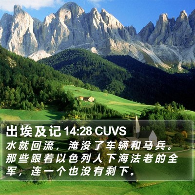 出 埃 及 记 14:28 CUVS Bible Verse Image