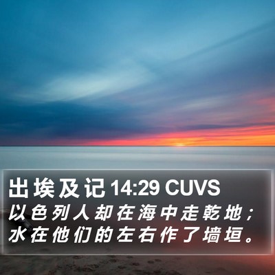 出 埃 及 记 14:29 CUVS Bible Verse Image