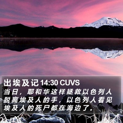 出 埃 及 记 14:30 CUVS Bible Verse Image