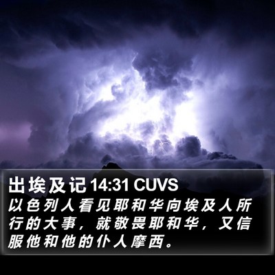 出 埃 及 记 14:31 CUVS Bible Verse Image