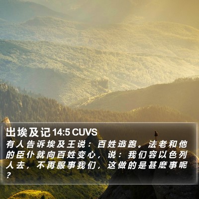 出 埃 及 记 14:5 CUVS Bible Verse Image