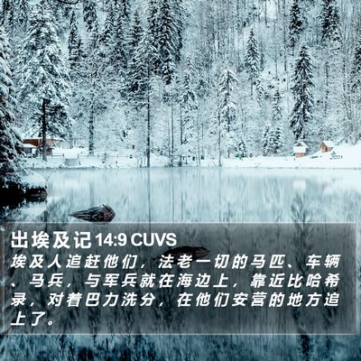 出 埃 及 记 14:9 CUVS Bible Verse Image