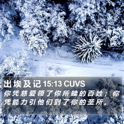 出 埃 及 记 15:13 CUVS Bible Verse Image