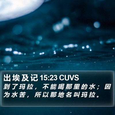 出 埃 及 记 15:23 CUVS Bible Verse Image