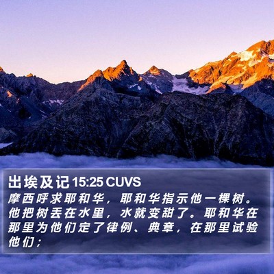 出 埃 及 记 15:25 CUVS Bible Verse Image