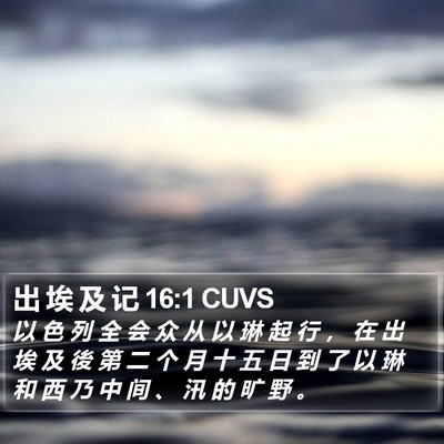 出 埃 及 记 16:1 CUVS Bible Verse Image