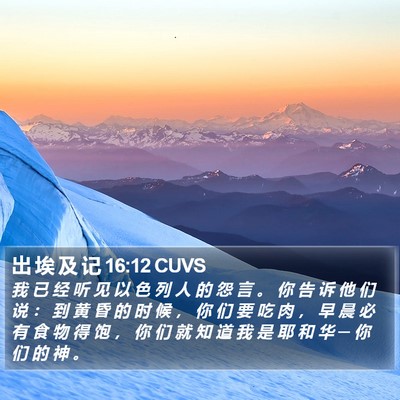 出 埃 及 记 16:12 CUVS Bible Verse Image