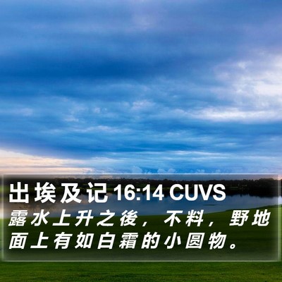 出 埃 及 记 16:14 CUVS Bible Verse Image