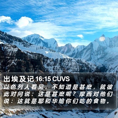 出 埃 及 记 16:15 CUVS Bible Verse Image