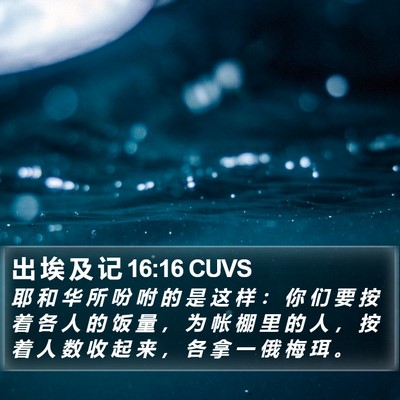 出 埃 及 记 16:16 CUVS Bible Verse Image