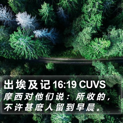 出 埃 及 记 16:19 CUVS Bible Verse Image