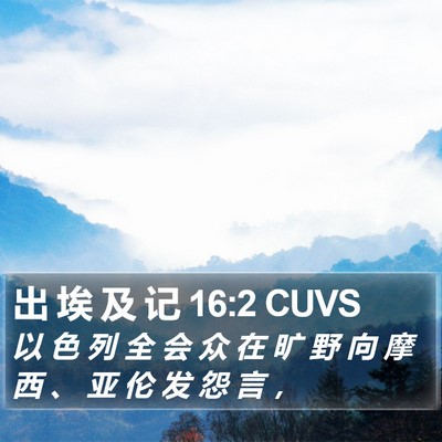 出 埃 及 记 16:2 CUVS Bible Verse Image