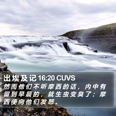 出 埃 及 记 16:20 CUVS Bible Verse Image