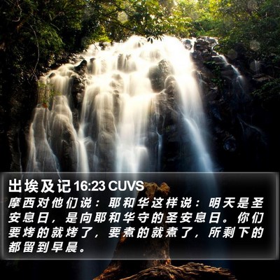 出 埃 及 记 16:23 CUVS Bible Verse Image